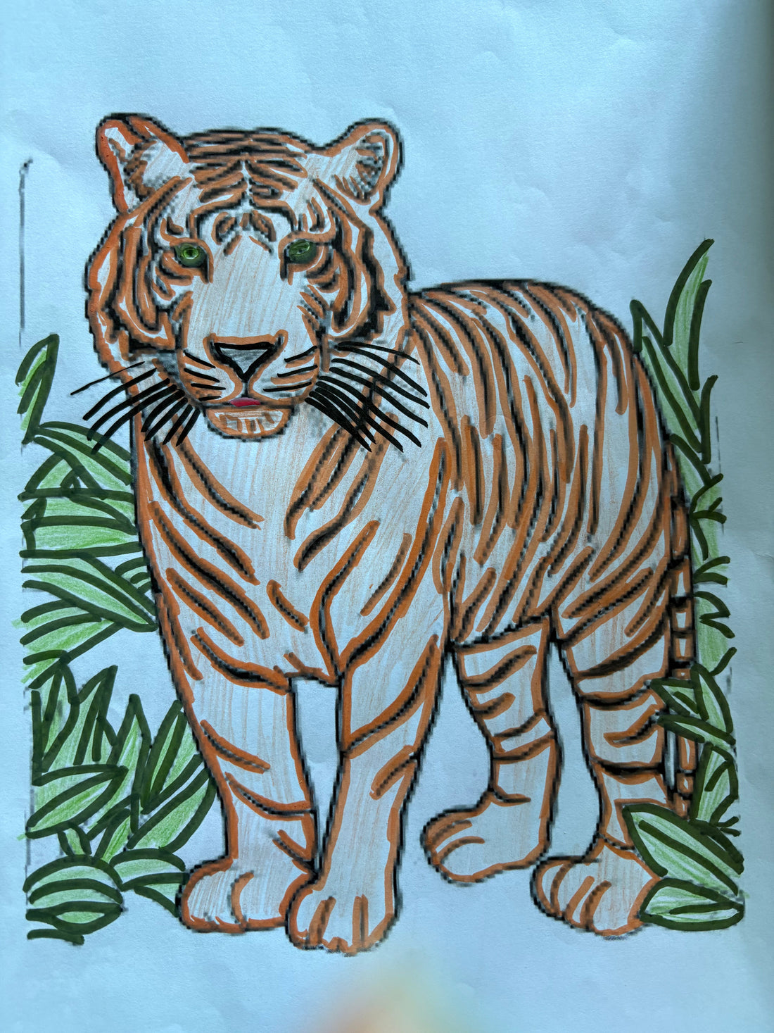 A completed children's tiger colouring page with orange and black stripes and green jungle leaves, coloured in with felt tips and pencils — an example of a printable colouring activity from Reggie and Co
