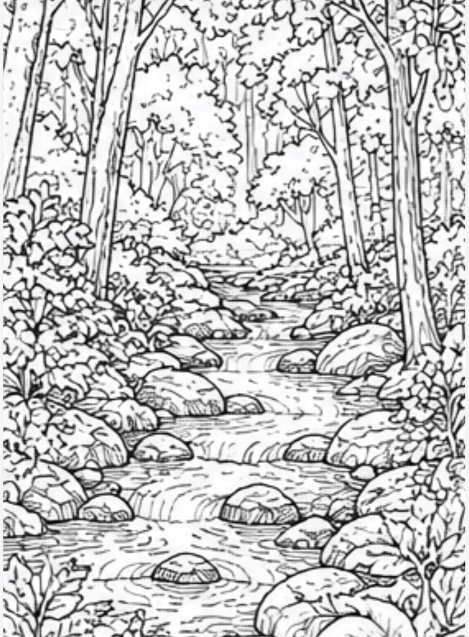Line drawing of a forest stream with rocks and trees