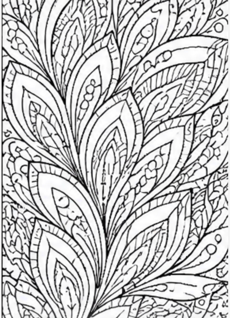 Coloring page with intricate feather design