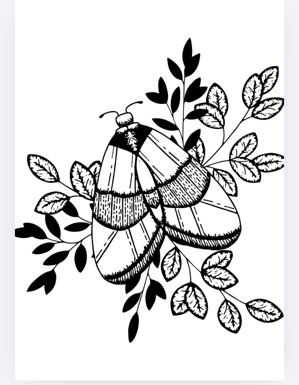 Adult flowers and nature colouring pages. PDF printable download