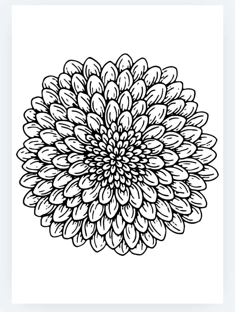 Adult flowers and nature colouring pages. PDF printable download