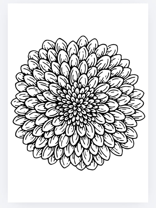 Adult flowers and nature colouring pages. PDF printable download
