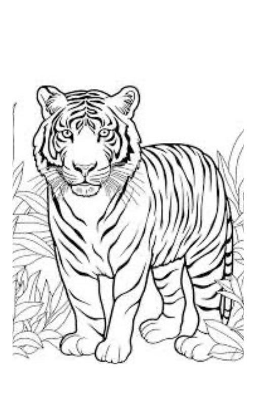 Cute Animals Colouring Book – Printable PDF Download